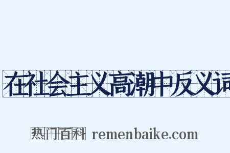 在社会主义高潮中反义词是什么意思的图片